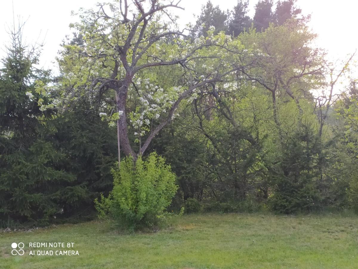 Dolistowka Apartamenty, Pole Namiotowe, Balia Z Jacuzzi, Ogrod Warzywny Dla Gosci, Plac Zabaw Dla Dzieci Goniadz Exteriér fotografie