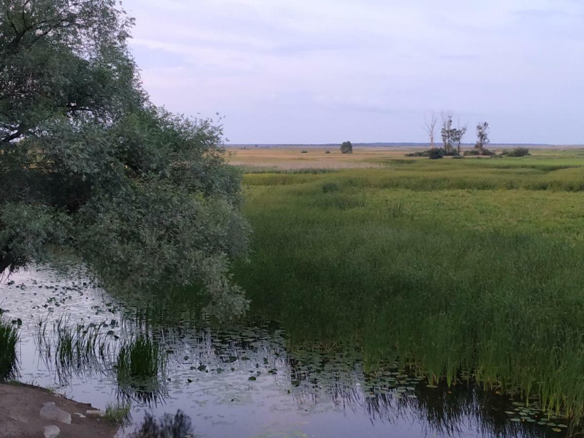 Dolistowka Apartamenty, Pole Namiotowe, Balia Z Jacuzzi, Ogrod Warzywny Dla Gosci, Plac Zabaw Dla Dzieci Goniadz Exteriér fotografie
